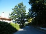 Nel sorriso del sole