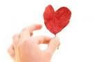 Foglia d�amore