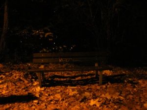 Magico autunno