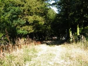 Rinascere si pu�