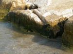 L�eco sulla spiaggia