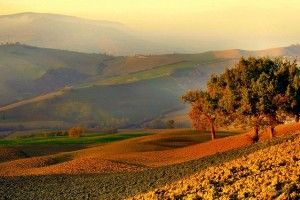 E� tornato l� autunno