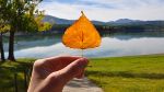 Primavera d�autunno