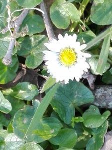 Nell�aria di te