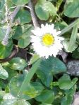 Nell�aria di te