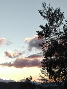 Voce d�amore