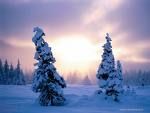 Inverni lontani