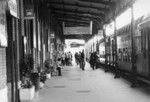 Penultima stazione