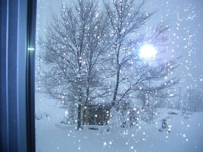 Neve