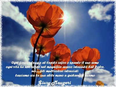 Orizzonti liberi