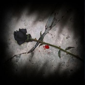 Uccidimi amore