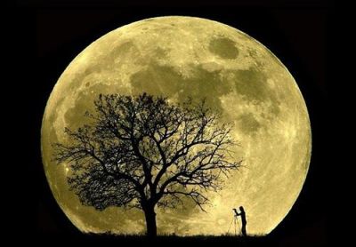 L'ultima luna  