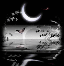 Il bacio della luna