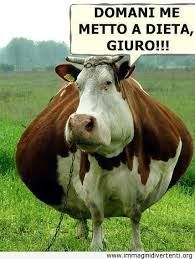 Da lunedd�...sto a dieta!