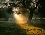 Allora resta la realt�