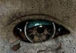 C'� un punto di dolore