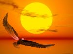 C'� un altro sole