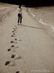Su quelle orme sparse a riva