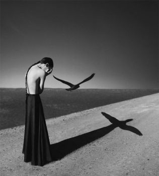 Ed � gi� notte