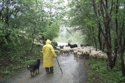 Il grido dell'anima