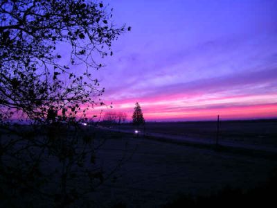 Il raggio rosa  