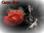 Carpe diem