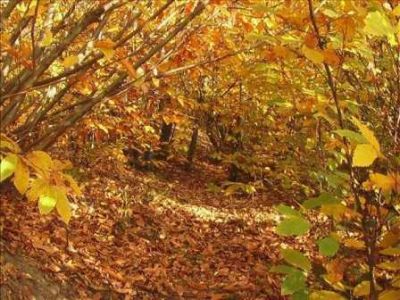 Autunno