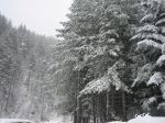 Inverno