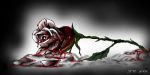 Il nome della rosa