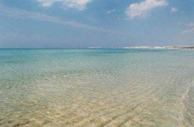 Sogno