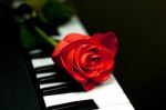 Cos� io t'amo