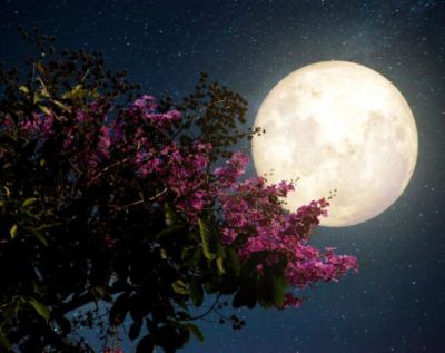 Baci di luna