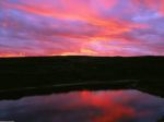 Come vita l�alba