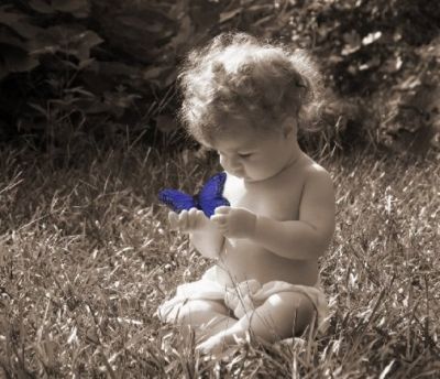 Innocente