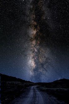 Il profumo del rosmarino