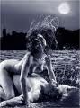 Come un oceano
