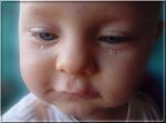 Non creder� pi�