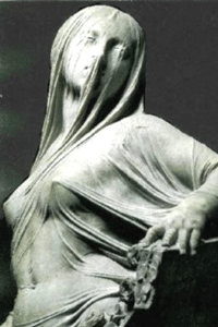 Seta signora  
