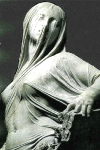 Seta signora  