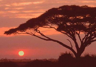 Africa