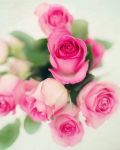 L�unica rosa