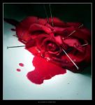 Rosa rossa del lago