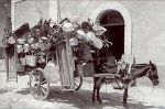 Tra san marco e l inghilerra