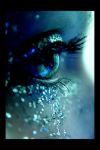 Insieme
