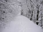 La neve