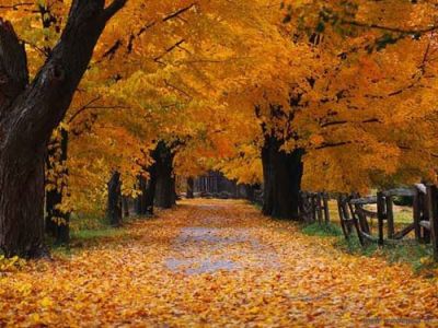 Notte D�Autunno