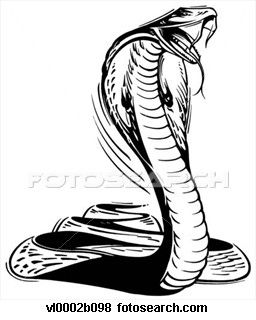 Cobra  