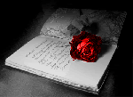 Una rosa al cuore