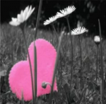 Il cuore grida il suo dolore