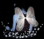 Solo sogni... niente pi�